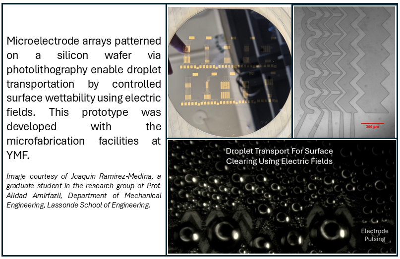 Microelectrodes for Controllable Wettability